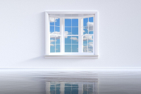 Komary w domu? Przewodnik po systemach moskitier